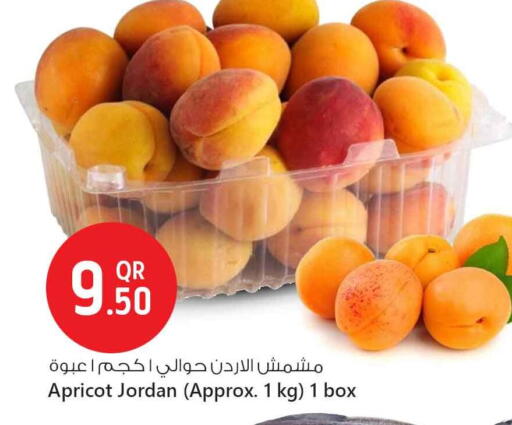 Fresh Fruits in Safari Hypermarket, Qatar Offers - Qatar Apricot from Jordan available at Safari Hypermarket in Qatar - Al Rayyan
