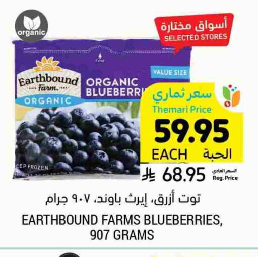 Blueberry BlueBerry available at Tamimi Market in KSA, Saudi Arabia, Saudi - Hafar Al Batin