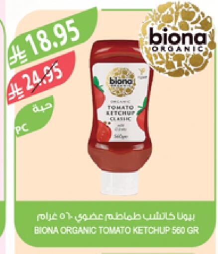 Tomato Ketchup available at Farm  in KSA, Saudi Arabia, Saudi - Saihat
