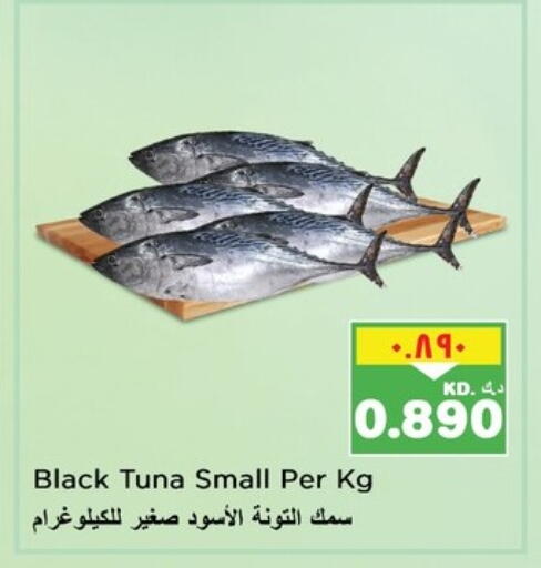 Tuna available at Nesto Hypermarkets in Kuwait