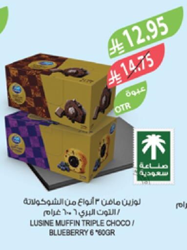 Blueberry BlueBerry available at Farm  in KSA, Saudi Arabia, Saudi - Arar