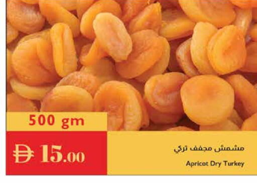 Apricot available at Istanbul Supermarket in UAE - Ras al Khaimah