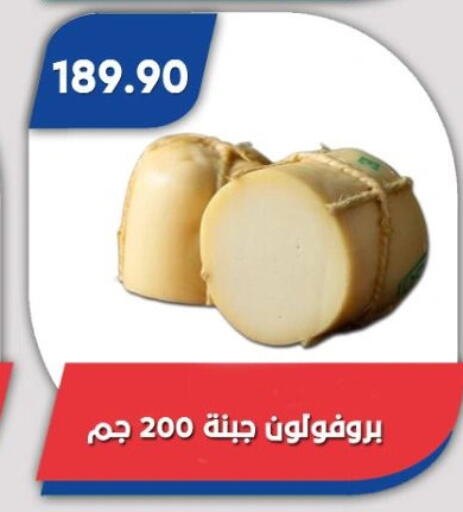 available at باسم ماركت in Egypt - القاهرة