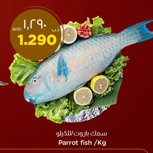 available at نستو in البحرين