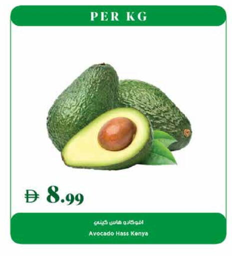 Avacado from Kenya available at Trolleys Supermarket in UAE - Dubai