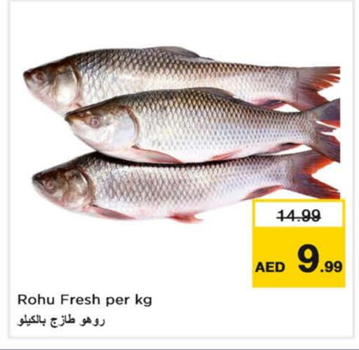 available at Nesto Hypermarket in UAE - Fujairah