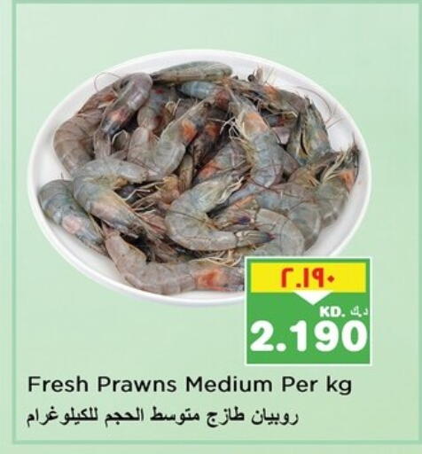 available at نستو هايبر ماركت in الكويت