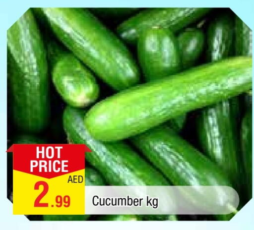 خيار available at المدينة in الإمارات العربية المتحدة , الامارات - الشارقة / عجمان