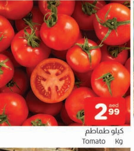 Tomato available at AL MADINA in UAE - Sharjah / Ajman