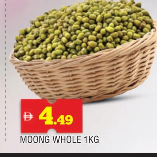 available at المدينة in الإمارات العربية المتحدة , الامارات - الشارقة / عجمان