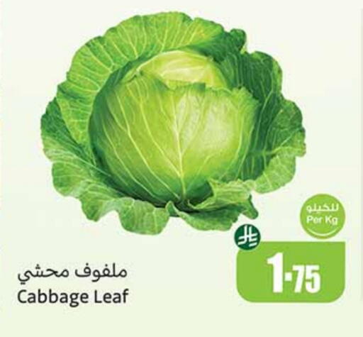 Cabbage available at Othaim Markets in KSA, Saudi Arabia, Saudi - Bishah