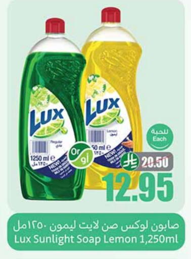 Lemon available at Othaim Markets in KSA, Saudi Arabia, Saudi - Bishah