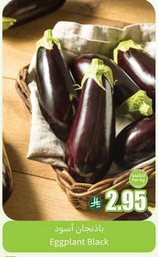 Eggplant available at Othaim Markets in KSA, Saudi Arabia, Saudi - Bishah