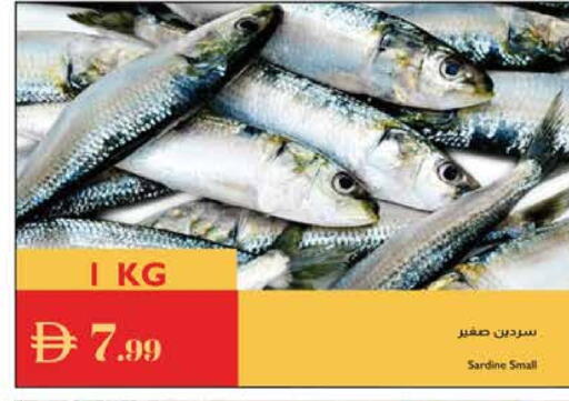 available at إسطنبول سوبرماركت in الإمارات العربية المتحدة , الامارات - دبي