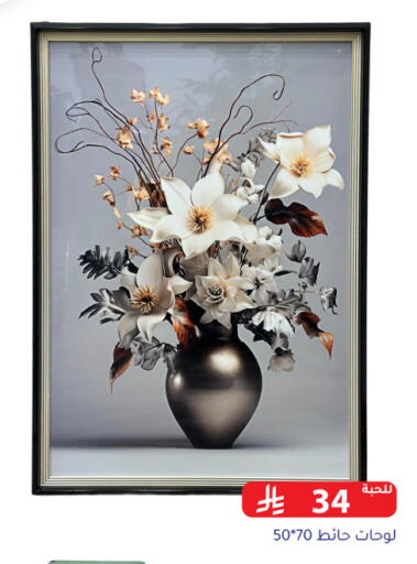 available at Family Discount in KSA, Saudi Arabia, Saudi - Riyadh