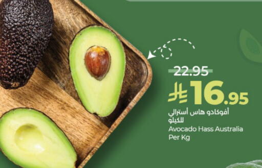 Avacado from Australia available at LULU Hypermarket in KSA, Saudi Arabia, Saudi - Abha
