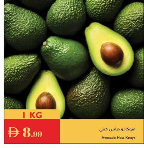 Avacado from Kenya available at Istanbul Supermarket in UAE - Dubai
