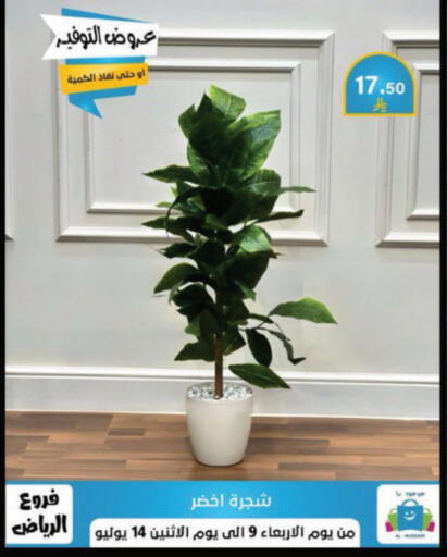 available at Al Hussain Top Up in KSA, Saudi Arabia, Saudi - Riyadh