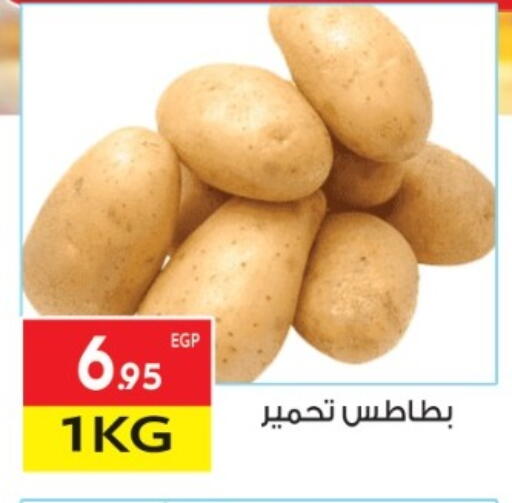 بطاطا available at المحلاوي ماركت in Egypt - القاهرة