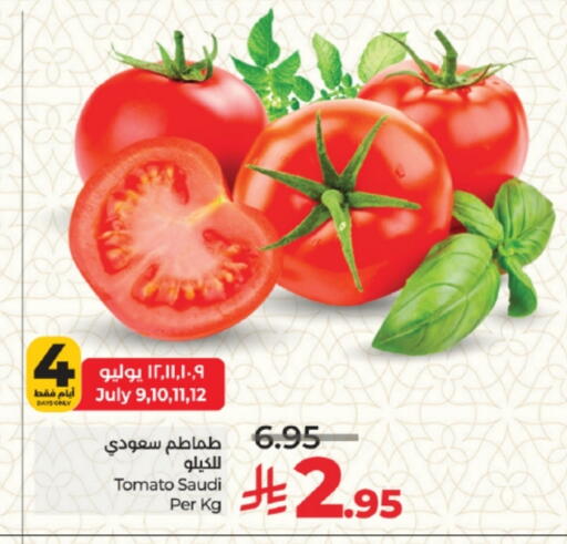 طماطم from Saudi Arabia available at لولو هايبرماركت in مملكة العربية السعودية, السعودية, سعودية - جدة