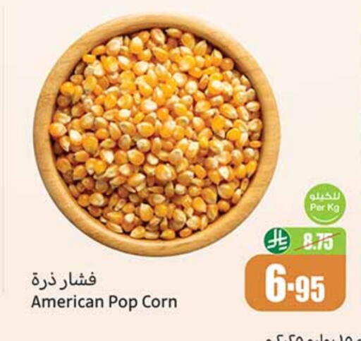 available at Othaim Markets in KSA, Saudi Arabia, Saudi - Medina
