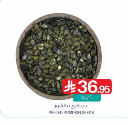 Pumpkin available at Muntazah Markets in KSA, Saudi Arabia, Saudi - Saihat