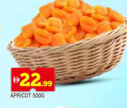 Apricot available at المدينة in الإمارات العربية المتحدة , الامارات - الشارقة / عجمان