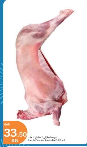لحم الضأن / الغنم available at سيتي هايبرماركت in قطر - الضعاين