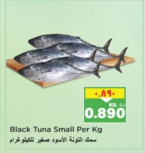 تونة available at نستو هايبر ماركت in الكويت - محافظة الأحمدي