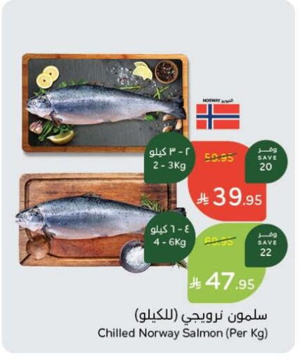 available at Hyper Panda in KSA, Saudi Arabia, Saudi - Hail