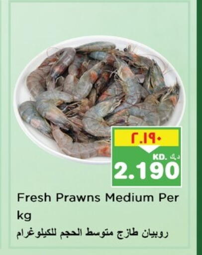 available at نستو هايبر ماركت in الكويت