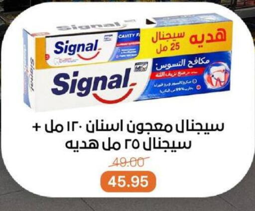 سيجنال معجون أسنان available at بيت الجملة in Egypt - القاهرة