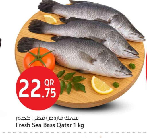 available at سفاري هايبر ماركت in قطر - الشمال