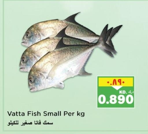 available at Nesto Hypermarkets in Kuwait - Kuwait City