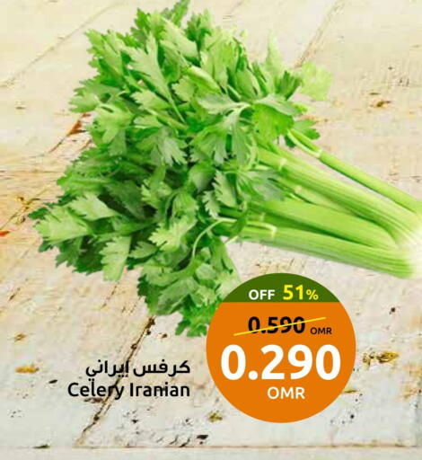 Celery from Iran available at Sultan Center  in Oman - Muscat
