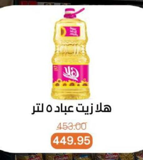 available at بيت الجملة in Egypt - القاهرة