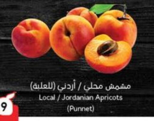 from Jordan available at Hyper Panda in KSA, Saudi Arabia, Saudi - Bishah