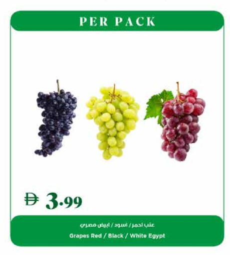 Grapes from Egypt available at Trolleys Supermarket in UAE - Dubai
