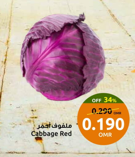 Cabbage available at Sultan Center  in Oman - Muscat