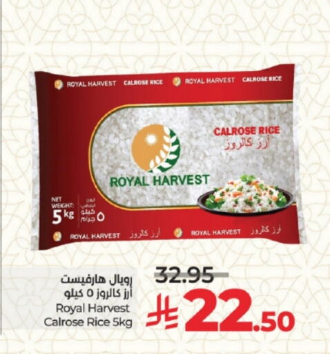 Calrose Rice available at LULU Hypermarket in KSA, Saudi Arabia, Saudi - Jeddah
