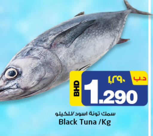 تونة available at نستو in البحرين