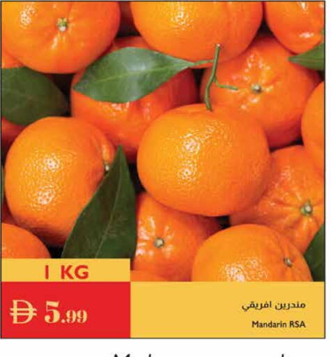Orange available at Istanbul Supermarket in UAE - Dubai