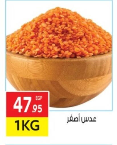 available at المحلاوي ماركت in Egypt - القاهرة