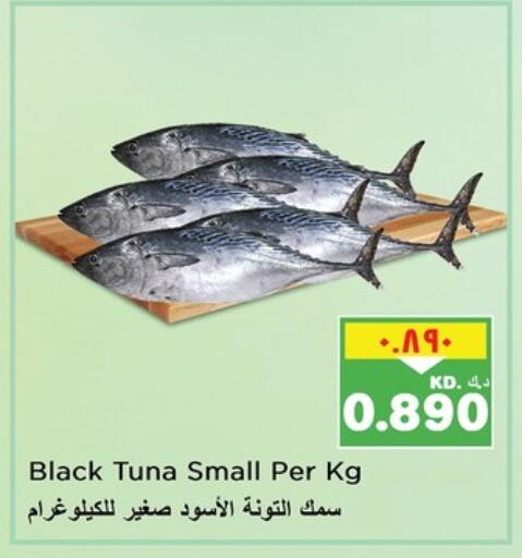 تونة available at نستو هايبر ماركت in الكويت - محافظة الأحمدي