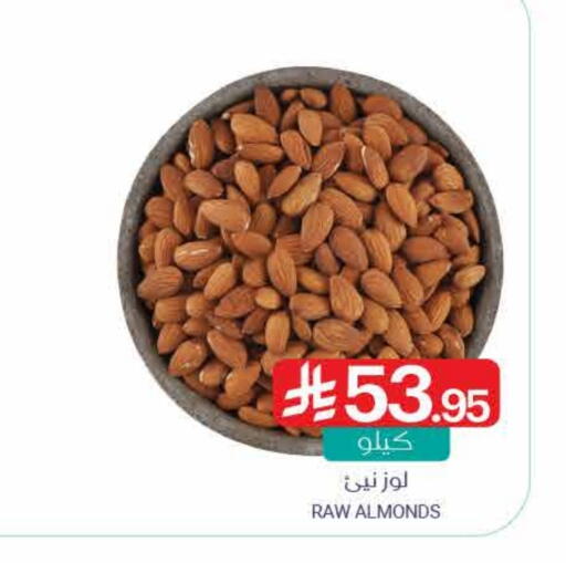 available at Muntazah Markets in KSA, Saudi Arabia, Saudi - Saihat