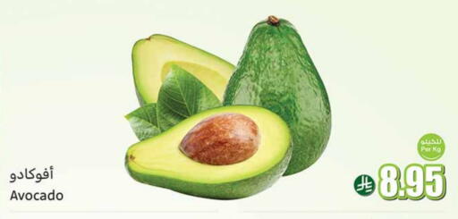 Avocado available at Othaim Markets in KSA, Saudi Arabia, Saudi - Bishah