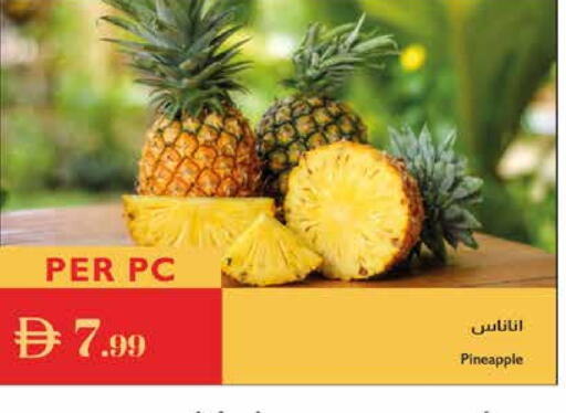 Pineapple available at Istanbul Supermarket in UAE - Ras al Khaimah