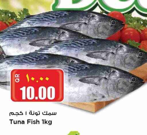 تونة available at ريتيل مارت in قطر - أم صلال