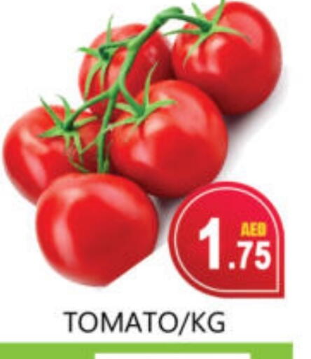 Tomato available at Souk Al Mubarak Hypermarket in UAE - Sharjah / Ajman