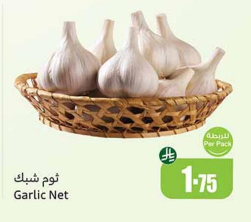 Garlic available at Othaim Markets in KSA, Saudi Arabia, Saudi - Bishah